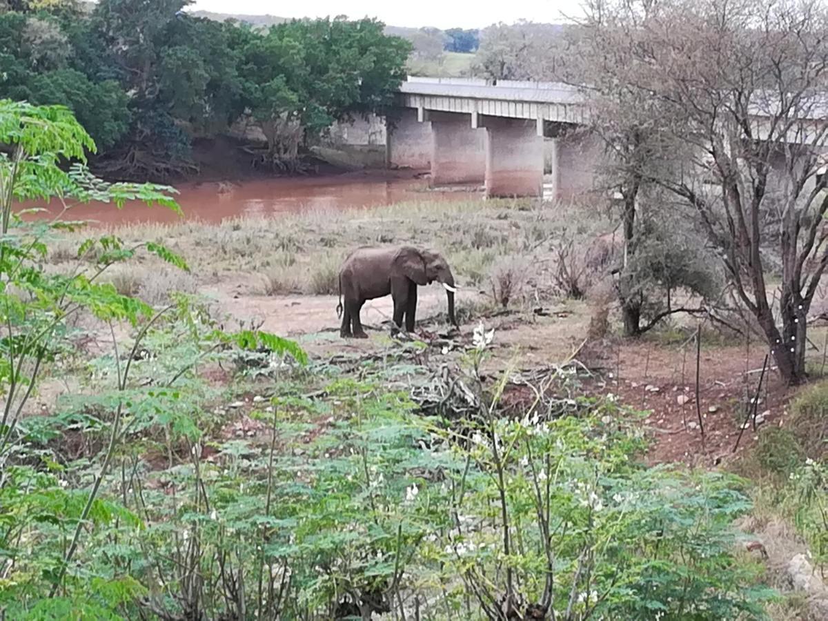 Three Bridges B&B Hoedspruit Exterior foto