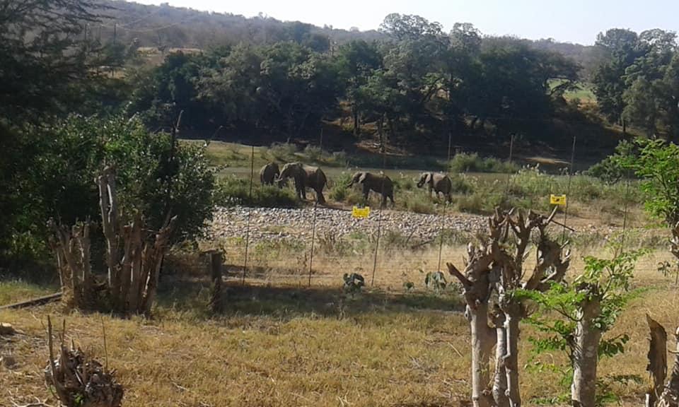 Three Bridges B&B Hoedspruit Exterior foto